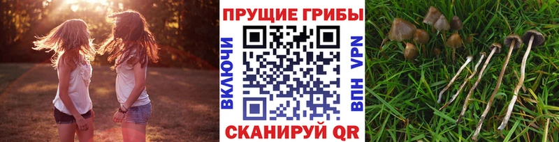 Псилоцибиновые грибы Magic Shrooms  Ржев 